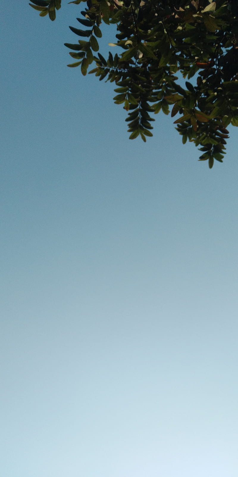 Sky wallpepar, background, blue, nature, simple, stars, HD phone wallpaper  | Peakpx