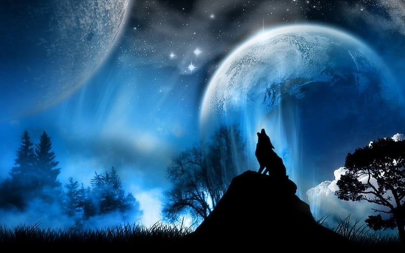 The Lone Wolf, moon, wolf, scenery, night, HD wallpaper