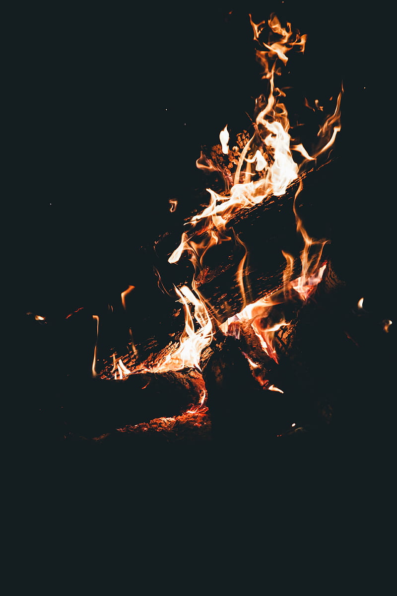 burning woods, HD phone wallpaper
