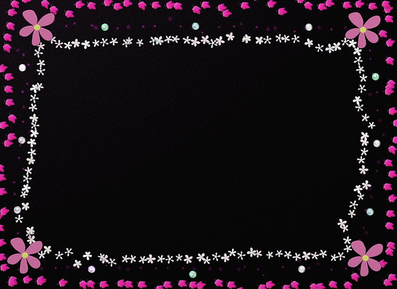 Pink flower frame, flower, metallic, black, frame, HD wallpaper
