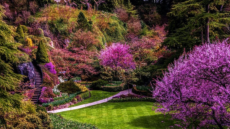 Butchart Gardens, Vancouver, British Columbia, trees, bush, canada, blossoms, HD wallpaper