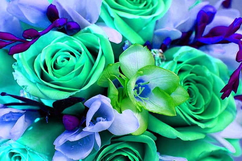 Flores verdes, agua, verde, flores, color, rosas, Fondo de pantalla HD |  Peakpx