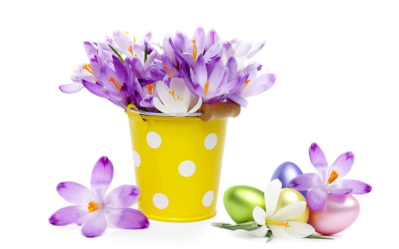 Happy Easter!, crocus, yellow, vase, easter, spring, card, egg, green, purple, flower, white, pink, HD wallpaper