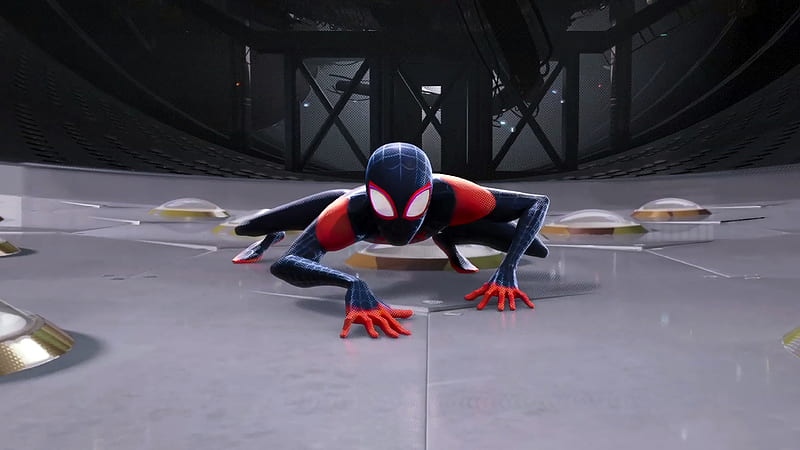 SpiderMan Into The Spider Verse Movie, spiderman-into-the-spider-verse, 2018-movies, movies, spiderman, animated-movies, HD wallpaper