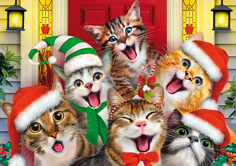 Merry Christmas!, red, luminos, craciun, christmas, selfie, cat, animal, hat, fantasy, green, funny, kitten, pisica, HD wallpaper