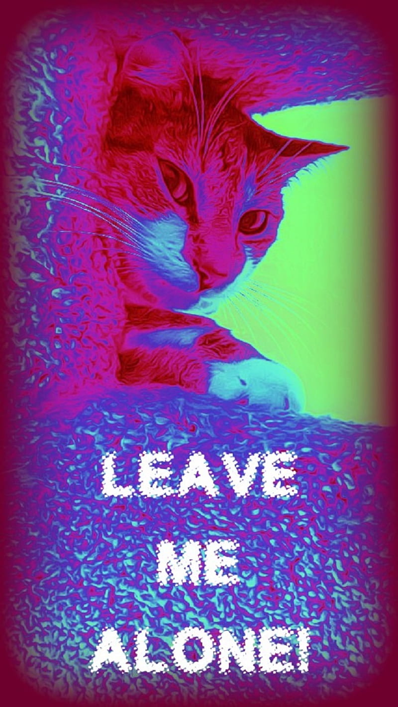 Leave Me Alone Cat, animals, attitude, face, funny, go away, kitty, lock screen, neon, password protcted, tabby, HD phone wallpaper