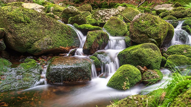 A stream in the Giant Mountains, Poland, river, falls, water, stones, HD wallpaper