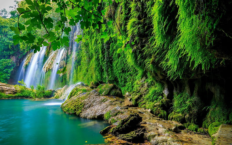 waterfall, tropical forest, lake, jungle, HD wallpaper