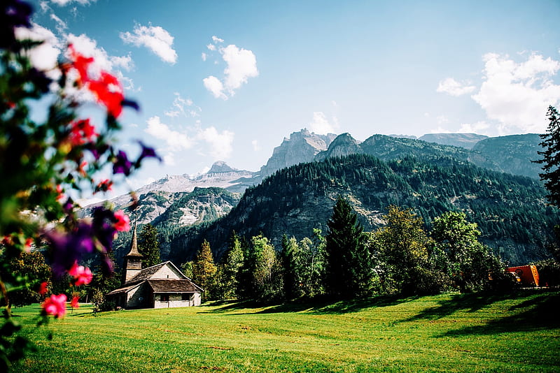 Swiss Alps, mountain, cloud, green, swiss, flower, sky, alps, field, HD wallpaper Swiss Alps, mountain, cloud, green, swiss, flower, sky, alps, field, HD wallpaper