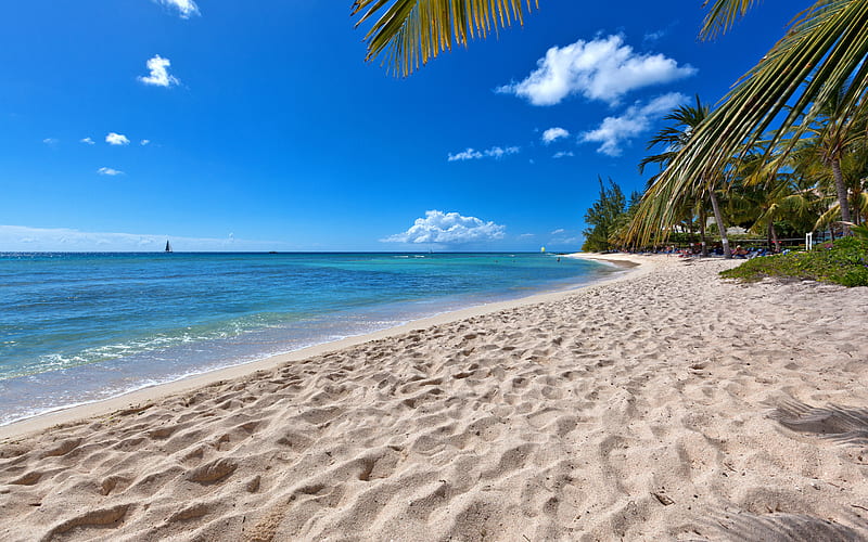 tropical island, beach, summer, ocean, blue lagoon, sand, sailing ship at sea, HD wallpaper