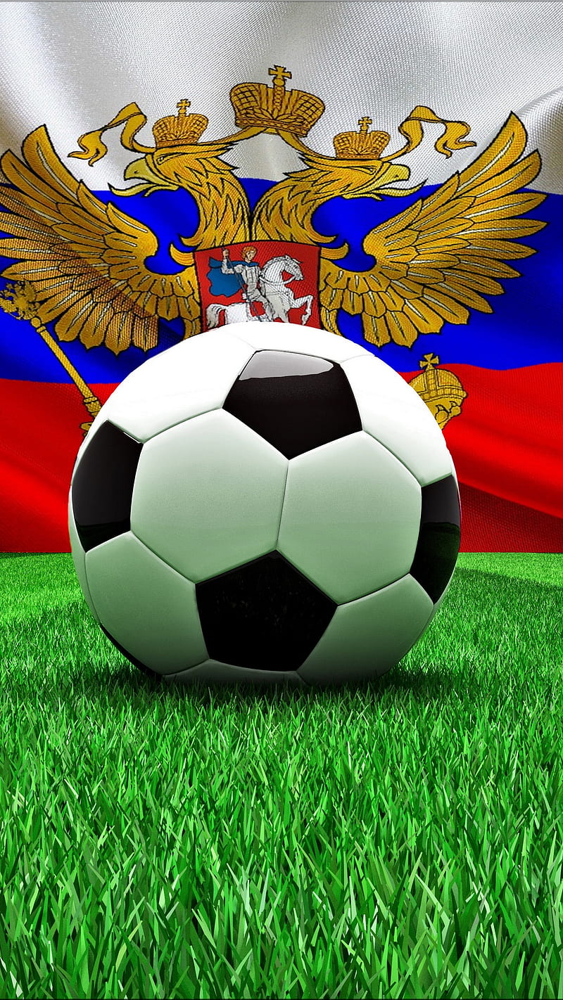 Brazil sports, football, world cup, grass, fifa, HD phone wallpaper | Peakpx