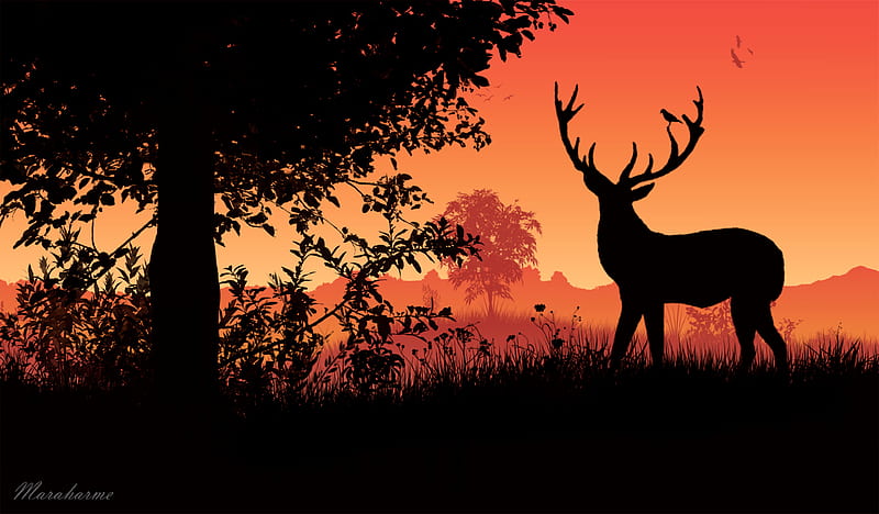 deer, horns, sunset, silhouette, HD wallpaper
