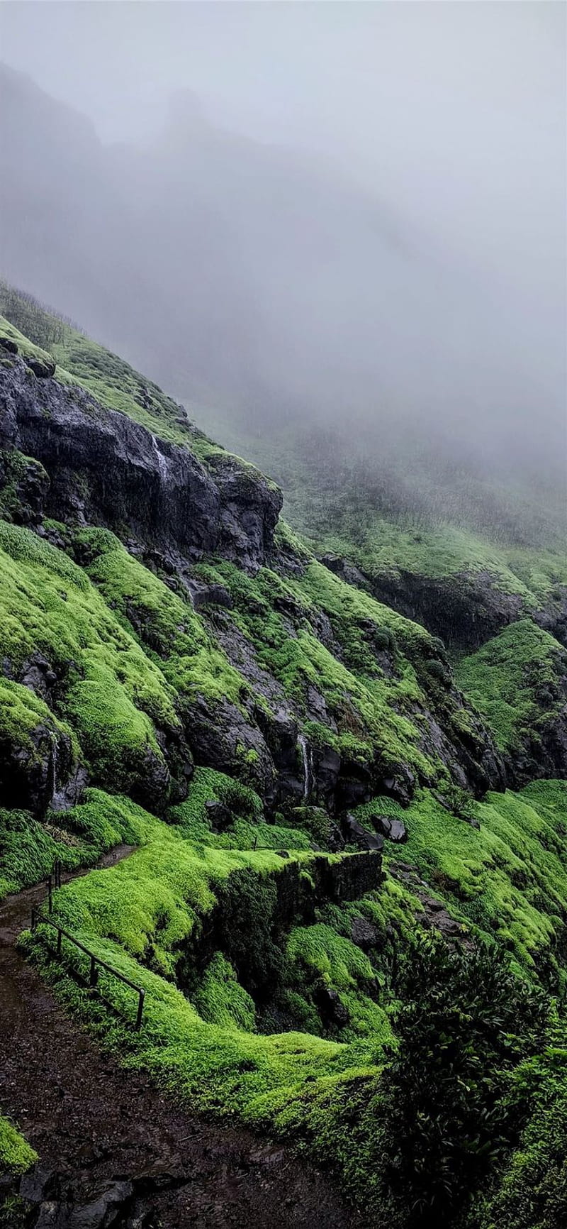 aerial view graphy of green grass mountain #nature #grey #pune #india #iPhone11. Aerial view, Green grass, Nature, Funny Nature, HD phone wallpaper