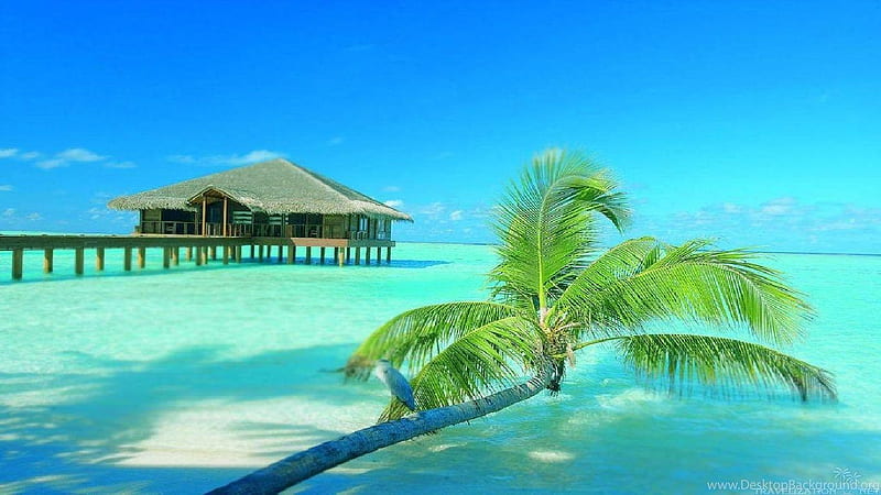 Beautiful Maldives, HD wallpaper | Peakpx