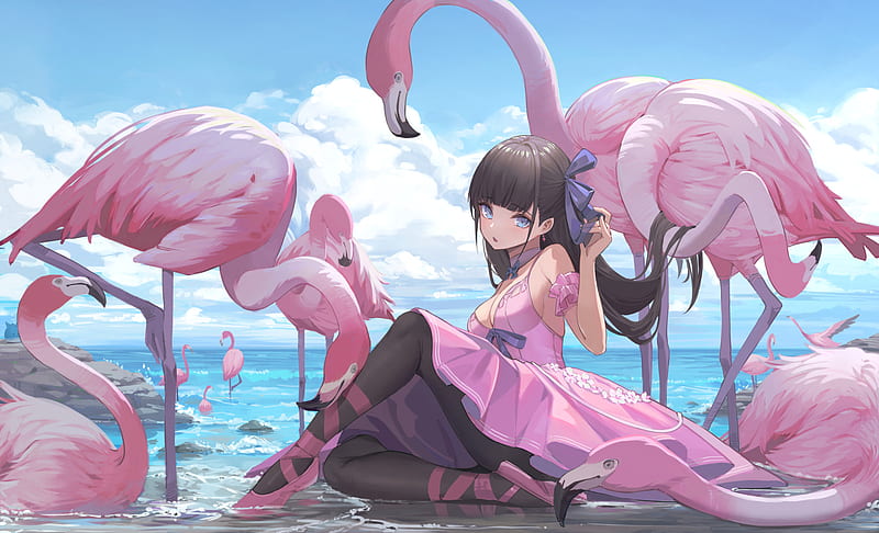 Anime, Girl, Flamingo, HD wallpaper