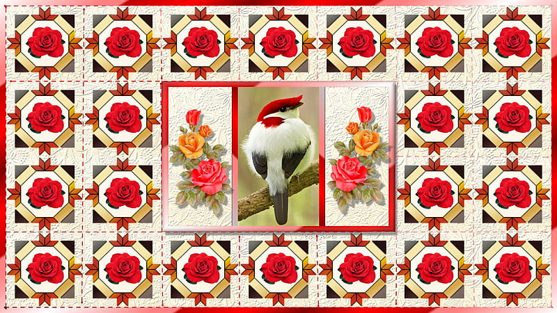 Beautiful Bird, endangered, red, rose, bird, HD wallpaper