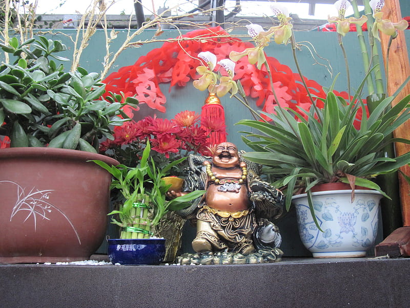 Chinese Celebration New Year Feb 10, red, yellow, pot, green, statue, garden, Flowers, Orchids, blue, HD wallpaper