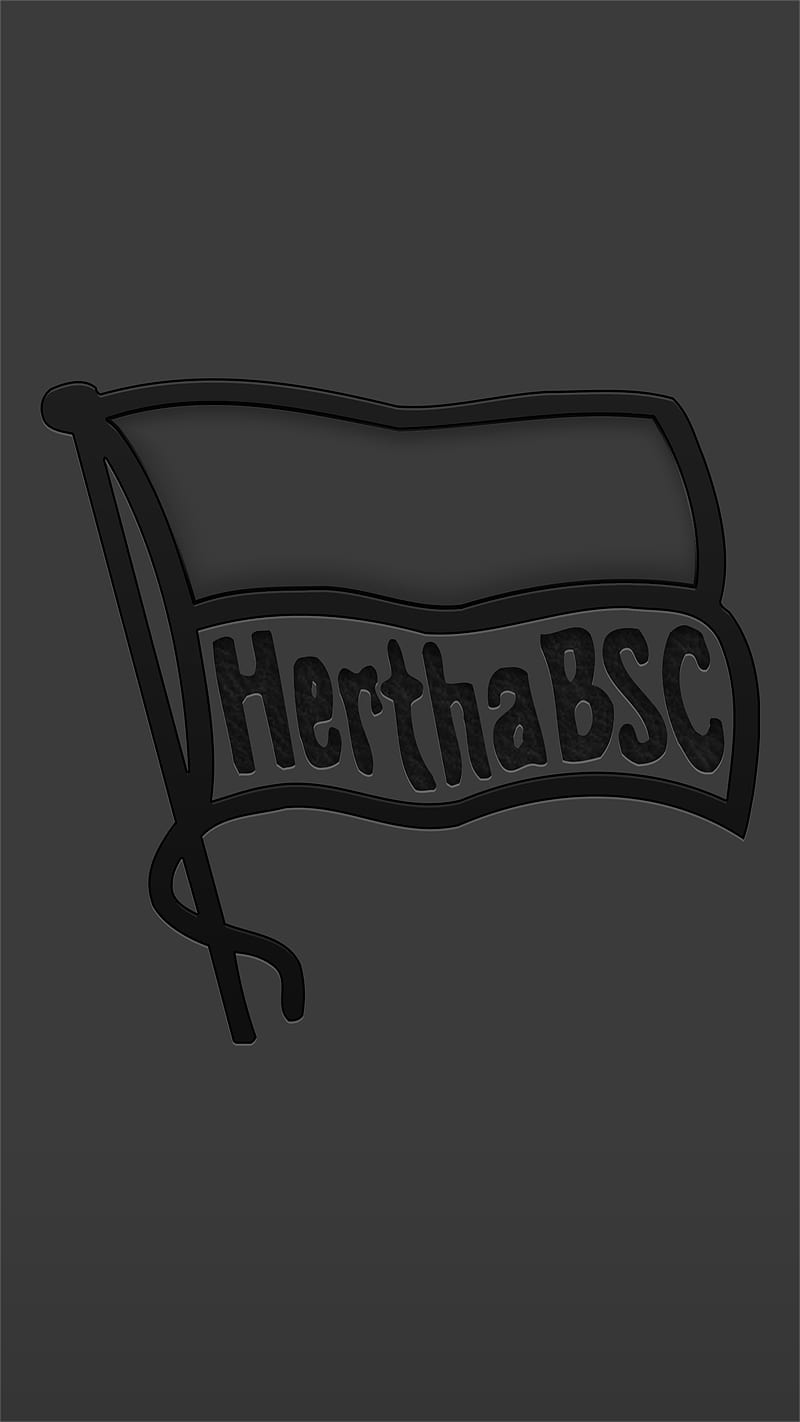 Hertha BSC, berlin, bsc, fussball, hbsc, hertha, ostkurve, sport, HD phone wallpaper
