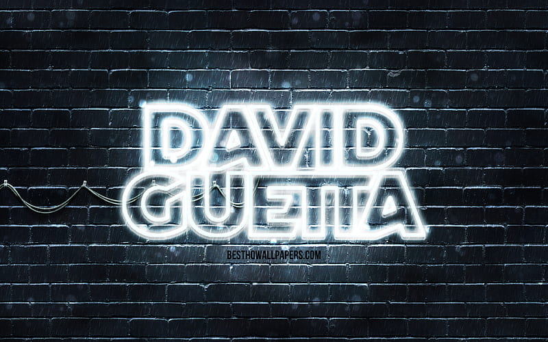 David Guetta white logo superstars, french DJs, white brickwall, David Guetta logo, Pierre David Guetta, David Guetta, music stars, David Guetta neon logo, HD wallpaper