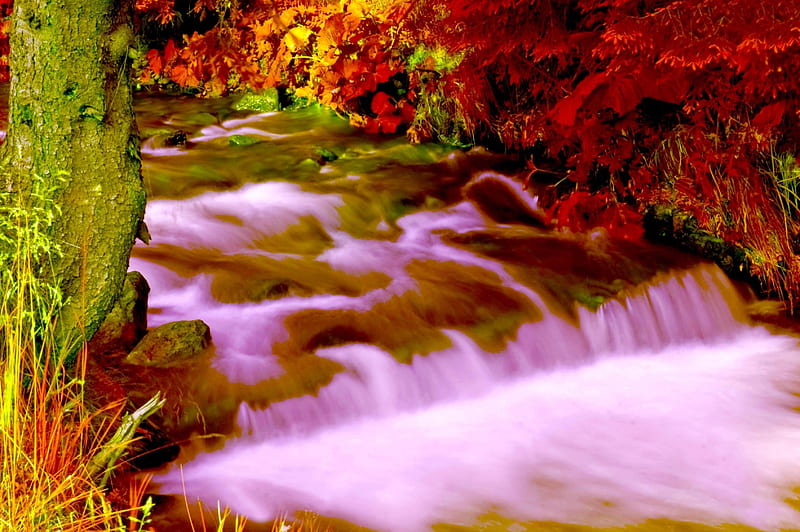 Breathtaking Lake, flowers, trees, pink, waterfalls, HD wallpaper