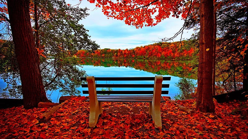 Beautiful autumn, rest, colorful, fall, shore, autumn, view, bench, bonito, trees, lake, foliage, leaves, nature, HD wallpaper