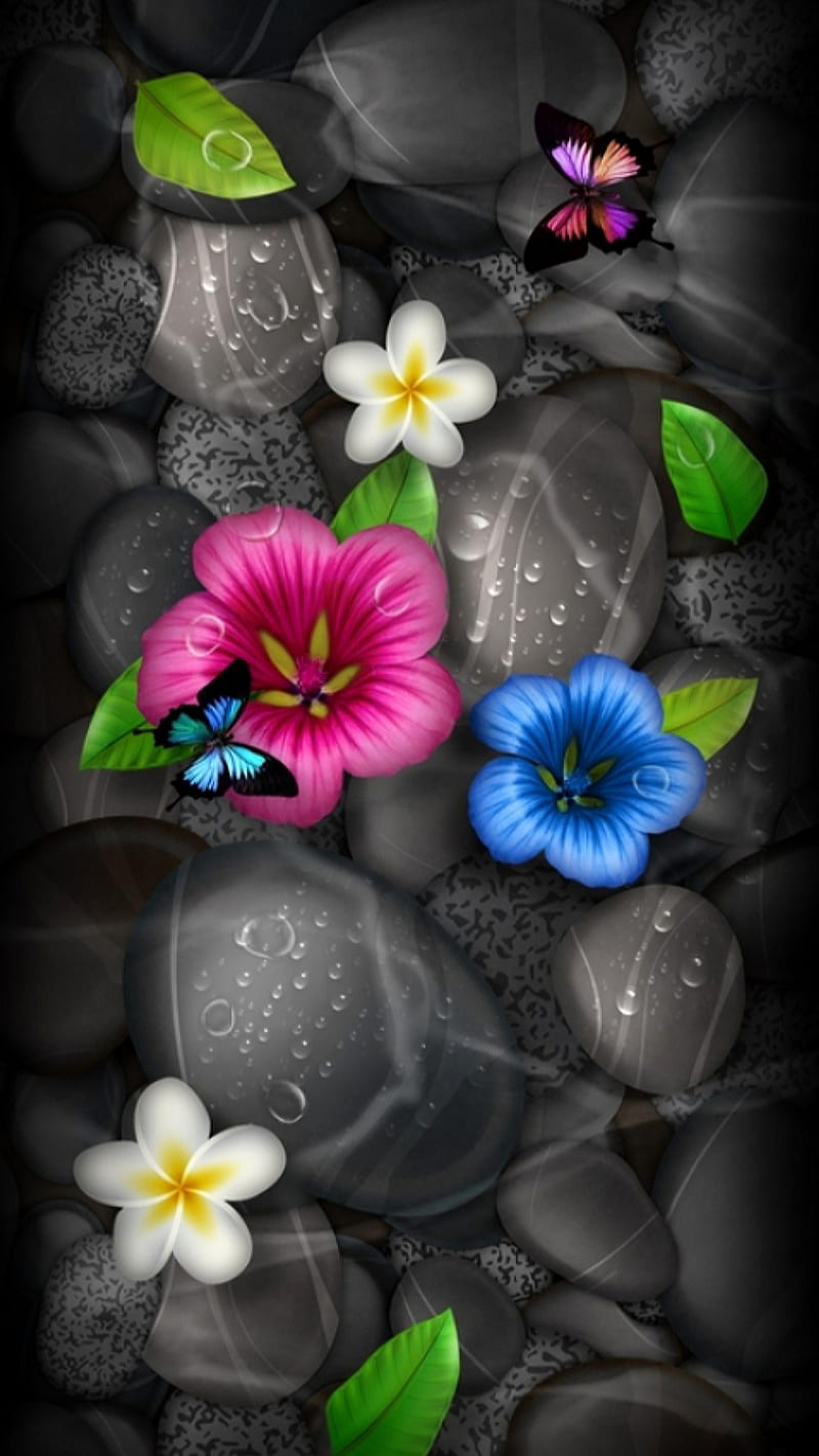 Colorful flowers, blue, butterflies, colors, leaves, pink, raindrops, stones, white, zen, HD phone wallpaper