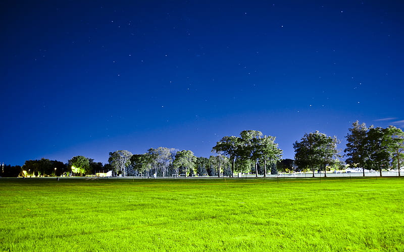 Blue Green, stars, clear, park, trees, sky, lights, city, nature, fields, blue, night, HD wallpaper
