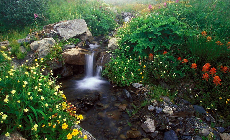 Spring Creek, red, springtime, colors, yellow, bonito, creek, shrubs, waterfalls, green, plants, flowers, HD wallpaper