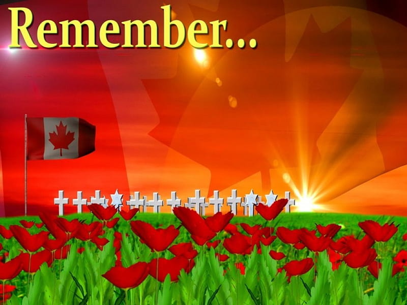 THANK YOU, Canada, poppies, crosses, flag, field, HD wallpaper