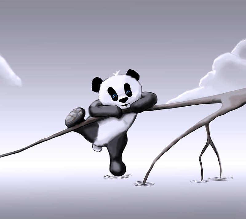Panda, cute, fun, HD wallpaper