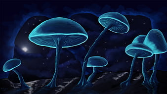 Mushrooms glow neon tree night 1080x1920 iPhone 8766S Plus wallpaper  background picture image