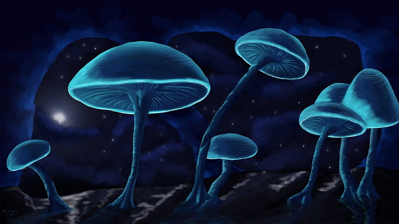 Blue Mushrooms, Abstract, Blue, Fantasy, Mushrooms, HD wallpaper