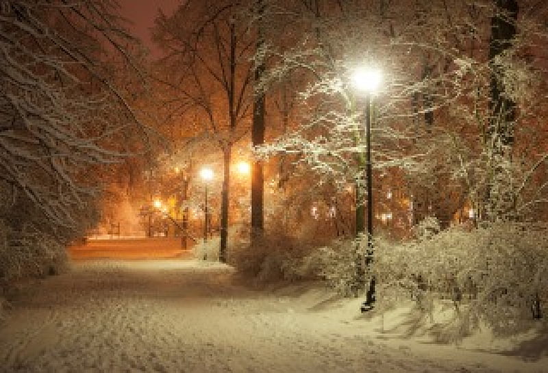 romantic-evening-winter-park, park, evening, romantic, winter, HD wallpaper