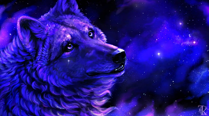 Enchanted, fantasy, purple, luminos, kfcemployee, wolf, blue, HD wallpaper