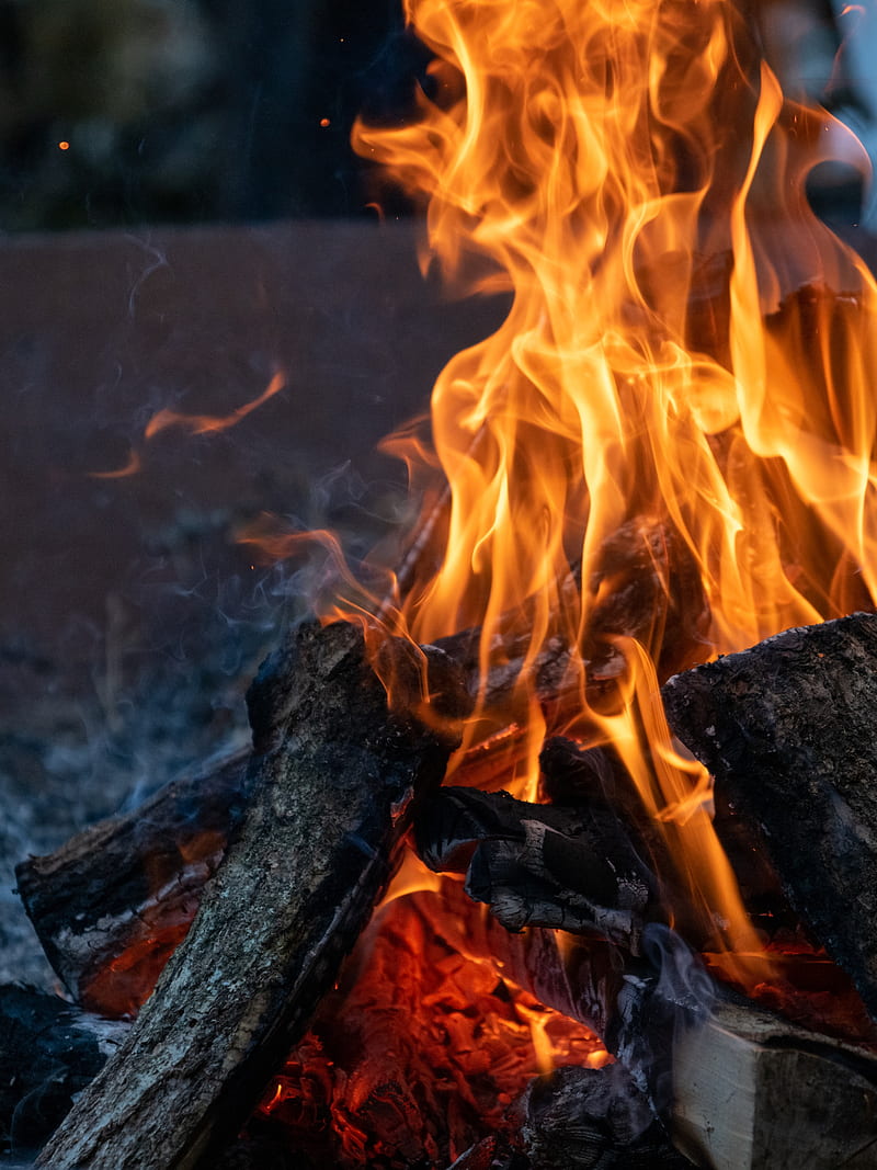 bonfire, flame, fire, evening, firewood, HD phone wallpaper