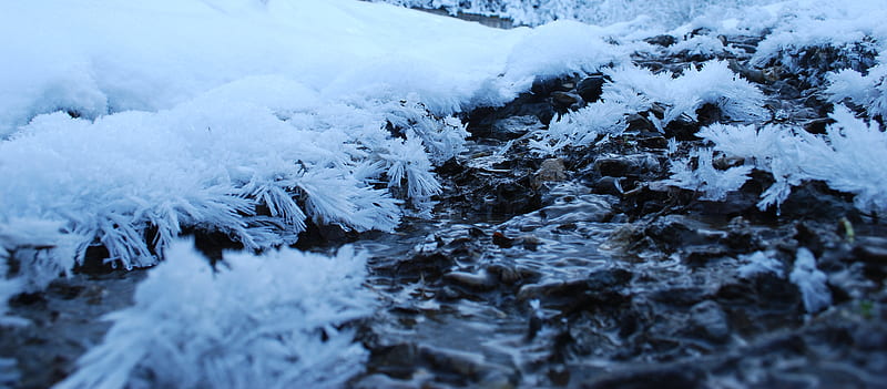 fast gefroren ist der Bach, ice, frozen, winter, HD wallpaper