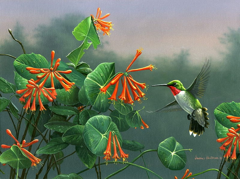 Flying Hummingbird, flower, fly, paint, bird, HD wallpaper