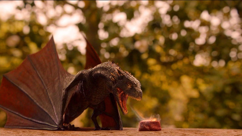 Game of Thrones - Drogon's Fire Breath, pretty, wonderful, stunning, odem, marvellous, fire breath, game of thrones, adorable, dragon, nice, fantasy, tv show, outstanding meat, super, essos, food, a song of ice and fire, fire, entertainment, awesome, great, westeros, bonito, woman show, drogon, tv series, amazing, fantastic, george r r martin, hbo, medieval, skyphoenixx1, HD wallpaper