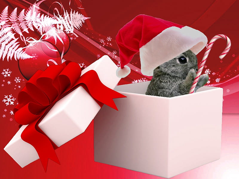 Christmas bunny, candy, red, colorful, cane, box, adorable, sweet, rabbit, holiday, christmas, ribbon, new year, gift, hat, cute, funny, bunny, HD wallpaper