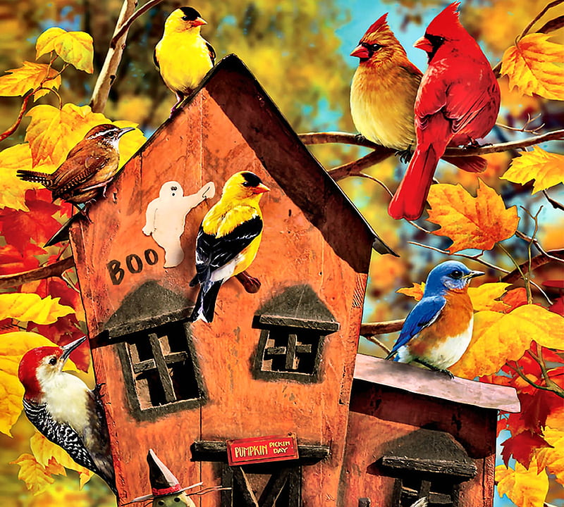 Fall Birds F, bonito, illustration, artwork, bluebird, animal, cardinals, painting, wide screen, art, wren, bird, avian, birdhouse, wildlife, nature, goldfinch, woodpecker, HD wallpaper