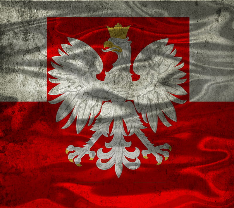 polska, eagle, flag, poland, polish, red, white, HD wallpaper