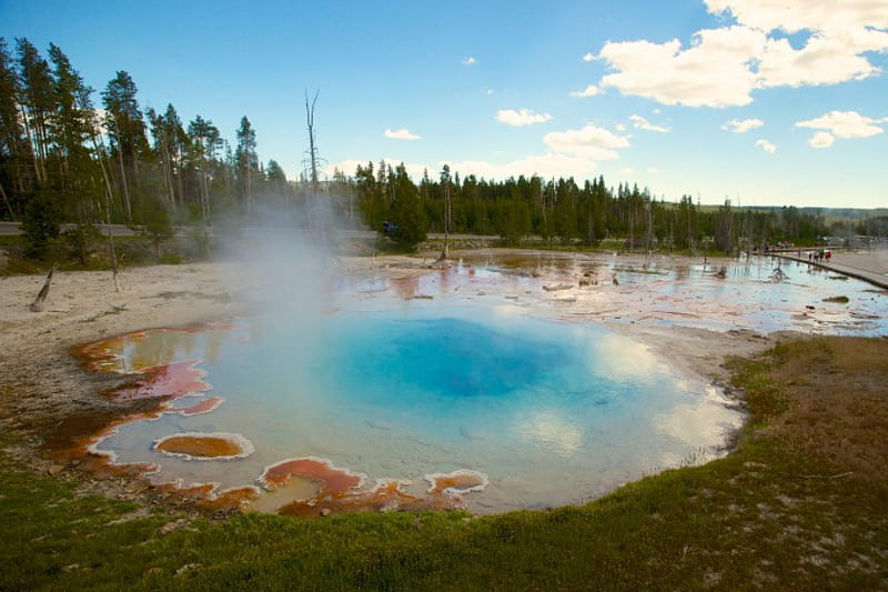 Hot Spring in Yellowstone, National Parks, Yellowstone, Hot Springs, Nature, HD wallpaper