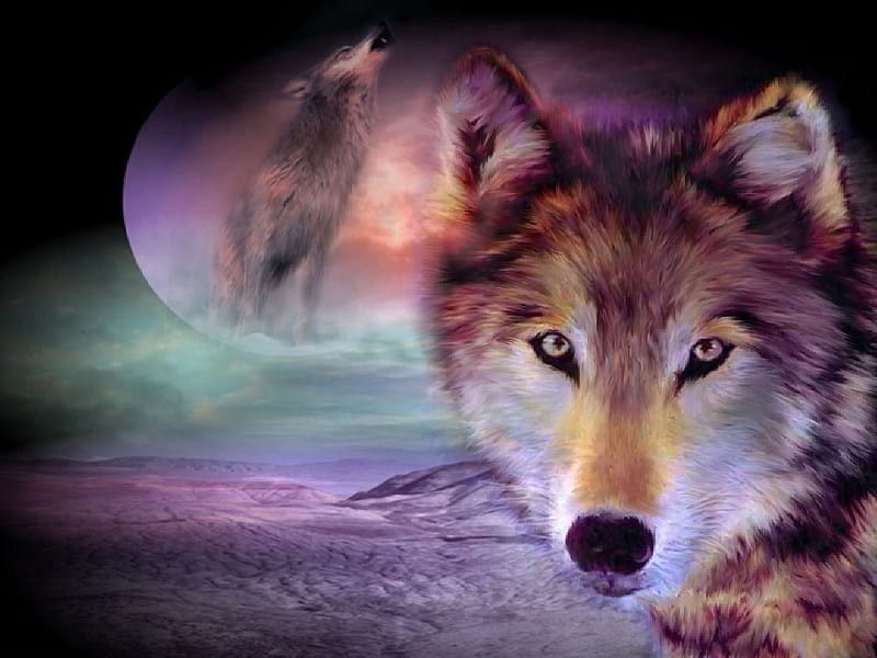 WOLF NIGHT, moon, wolf, night, howling, HD wallpaper | Peakpx