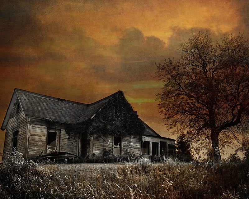 Old House, dark, sunset, tree, village, HD wallpaper