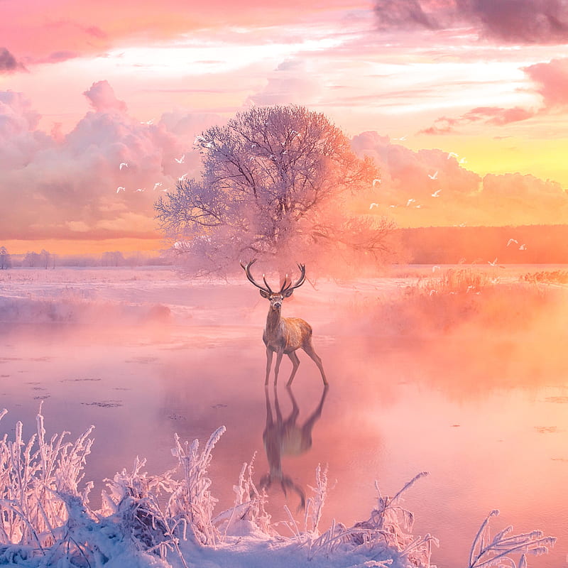 Reindeer Fantasy Arts, reindeer, animals, artist, artwork, digital-art, fantasy, HD phone wallpaper