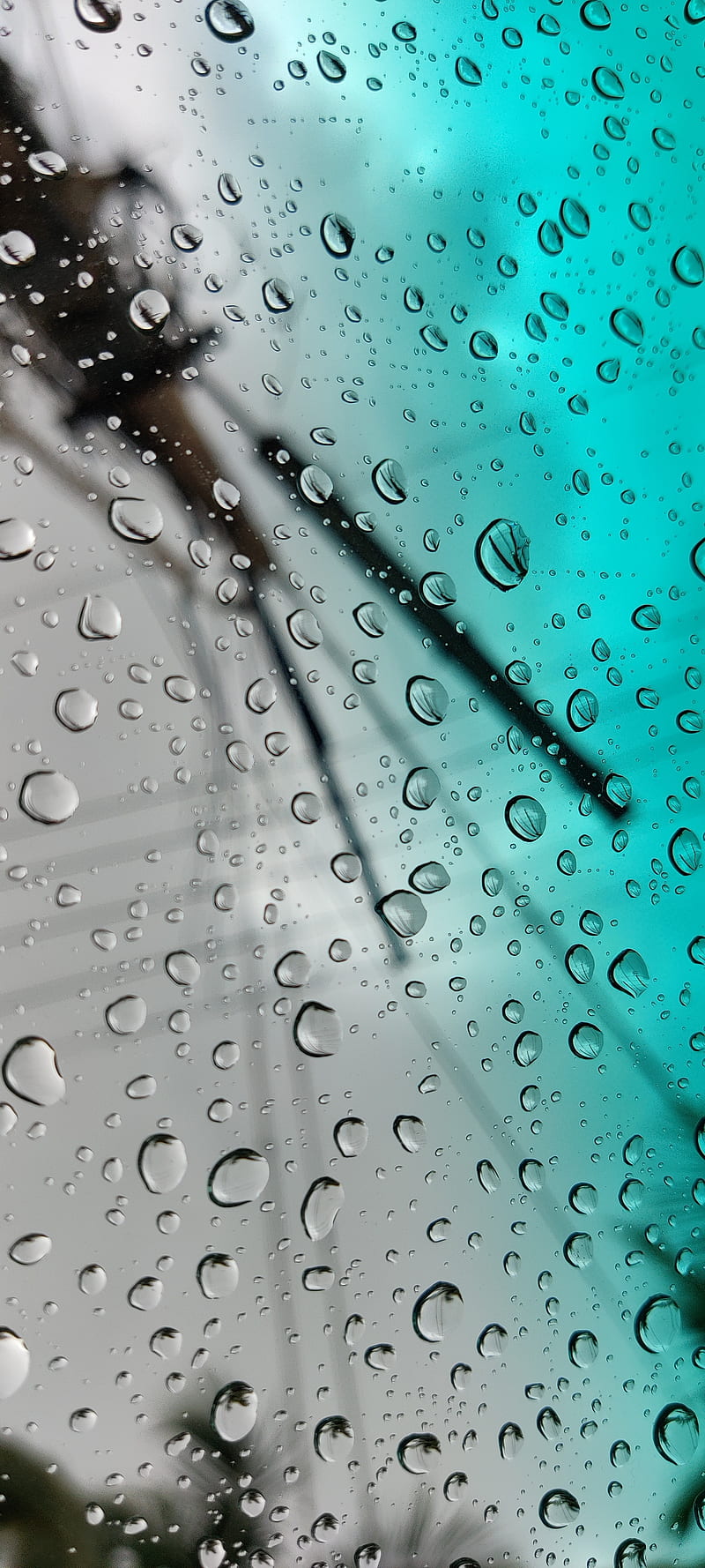 OnePlus, droplets, mobile, rain, HD phone wallpaper | Peakpx