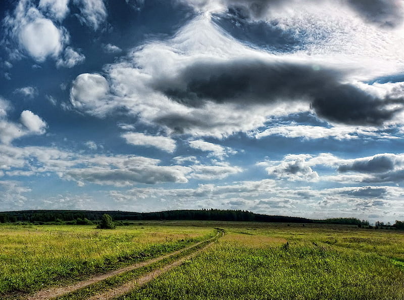 grasslands-sunny day, dirt road, grasslands, open skies, day, sunny, distant hills, clouds, blue, HD wallpaper