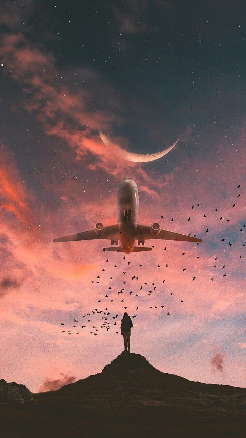 Fly, plane, bird, silhouette, moon, HD phone wallpaper