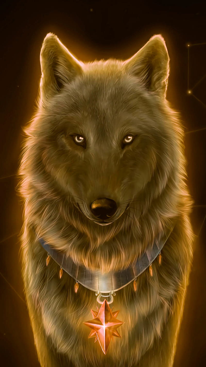 Nice wolf, animal, fantasy, star, wild, yellow, HD phone wallpaper | Peakpx