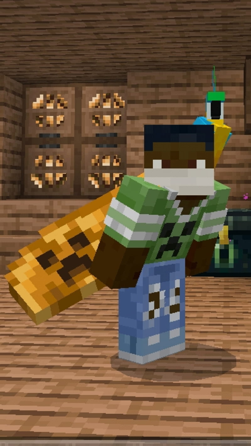 34 Skin ideas  minecraft wallpaper, skin, minecraft